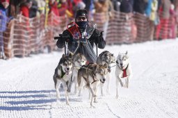 Lenk 2013